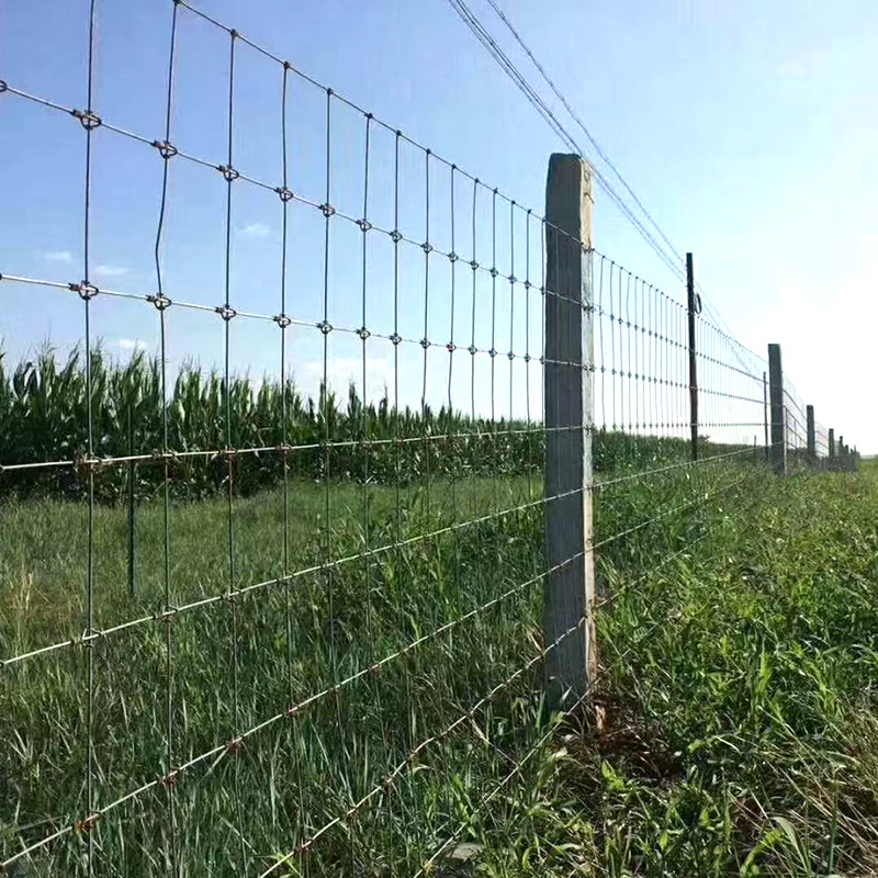 Ring Lock installed on rural farm